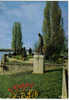 Carte Postale 44 D'Ancenis - La Statue Joachim Du Bellay Et Le Jardin Public - Ancenis
