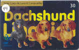 HOND DASHOND DOG CHIEN HUND CANE PERRO CÃO Op Telefoonkaart Phonecard (44) - Hunde