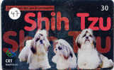 HOND SHIH TZU DOG CHIEN HUND CANE PERRO CÃO Op Telefoonkaart Phonecard (47) - Hunde
