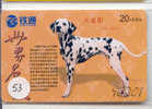 HOND DALMATIAN DOG CHIEN HUND CANE PERRO CÃO Op Telefoonkaart Phonecard (53) - Chiens