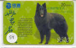 HOND BELGISCHE HERDER DOG CHIEN HUND CANE PERRO CÃO Op Telefoonkaart Phonecard (54) - Dogs