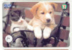 HOND + KAT DOG CHIEN HUND CANE PERRO CÃO Op Telefoonkaart Phonecard (70) - Hunde