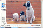 HOND DOG CHIEN HUND CANE PERRO CÃO Op Telefoonkaart Phonecard (72) - Hunde
