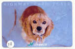 HOND DOG CHIEN HUND CANE PERRO CÃO Op Telefoonkaart Phonecard (78) - Dogs