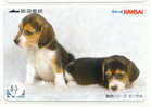 CHIEN HOND DOG  HUND CANE PERRO CÃO Op Telefoonkaart Phonecard (87) - Hunde