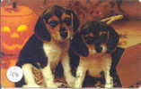 HOND DOG CHIEN HUND CANE PERRO CÃO Op Telefoonkaart Phonecard (103) - Dogs