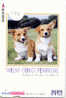 CHIEN HOND DOG  HUND CANE PERRO CÃO Sur Telecarte Phonecard (128) - Dogs