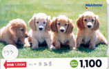 HOND DOG CHIEN HUND CANE PERRO CÃO Op Telefoonkaart Phonecard (133) - Dogs