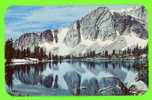 MEDECINE BOW, WY - SNOWY RANGE IN MEDICINE BOW NATIONAL FOREST - - Sonstige & Ohne Zuordnung