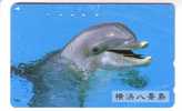 DOLPHIN ( Japan Card ) * Dauphin - Delphin - Delfin – Delphine - Dauphine – Delfino– Dauphins - Dolphins ( Japon ) - Delfines