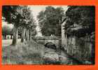 AUBIGNY SUR NERE 1952 LES FOSSES CARTE PHOTO EN BON ETAT - Aubigny Sur Nere