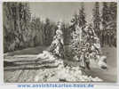 D 4737 - Winterlandschaft - S/w Foto-Ak, 1983 Gel. Von Schmiedeberg Nach Stgt. - Schmiedeberg (Erzgeb.)