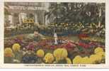 Saint Louis. Chrysanthemum Display. Jewel Box, Forest Park. Floral Display. - St Louis – Missouri