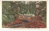 Saint Louis. Rustic Bridge And Poinsettias. Jewel Box, Forest Park. Floral Display. Colored. - St Louis – Missouri