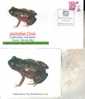Frog Postcard + Cover – Carte Postale De Grenouille – Froschpostkarte - Tarjeta Postal De Rana - Cartolina Di Rana - Ranas