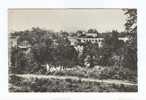 CLISSON - Le Viaduc Et La Sèvre - Clisson