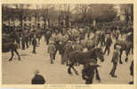 29 - FINISTERE - LANDIVISIAU - MARCHE - FOIRE Aux CHEVAUX - Edit. QUERE INIZAN 18 - Landivisiau