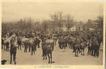 29 - FINISTERE - LANDIVISIAU - MARCHE - FOIRE Aux CHEVAUX - Edit. QUERE INIZAN 15 - Landivisiau