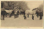 29 - FINISTERE - LANDIVISIAU - MARCHE - FOIRE Aux CHEVAUX - Edit. QUERE INIZAN 16 - Landivisiau