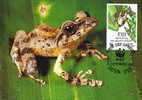 Fiji : CM Carte Maximum Grenouille Frog Platymantis Vitiensis Anoure Tree Arbre Foret Forest Animal WWF - Grenouilles