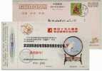 White Parrot On Embroider Handcraft,China 1998 Wuhan Zhouji Communication Company Advertising Postal Stationery Card - Papagayos