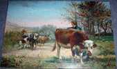 Cows, Cattle, Vintage Postcard, Stengel, Signatured - Breeding