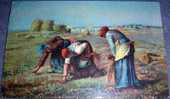 Field Works,Harvest, Stengel, Vintage Postcard - Cultures