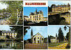 Carte Postale 45 De Malesherbes - Les Roches, La Mairie, Le Château, Le Moulin Mirebeau, La Grange De Dîmes - Malesherbes