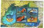 ROMANIA 2007 FAUNA FROM THE BLACK SEA;SEAHORSE,COMMON DOLPHIN,SEA TURTLE,TUB GURAND,MNH. - Turtles