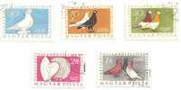 Hongrie N°1230 à 1234 Oblitéré Pigeon - Columbiformes