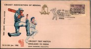 Cricket, Outdoor Game, West Indies, Sports India - Cricket