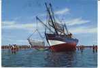 Garnalenboot Op Hat Strand. Crevettier Sur La Plage. Stempel - Cachet: Oostende. - Fishing Boats