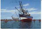 Garnalenboot Op Hat Strand. Crevettier Sur La Plage. Stempel - Cachet: Oostende. - Fischerei