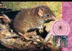 Superbe Carte Maximum Australienne Sur Un Petit Rongeur Australien - Rodents