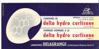 BUVARD - DELAGRANGE - COMPRIMES DE DELTA HYDRO CORTISONE - POMMADE DERMIQUE - LABORATYOIRES DELAGRANGE - PARIS - CARTONE - Drogisterij En Apotheek