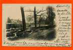 LE VESINET 1901 PETITE RIVIERE ET ALLEE DE LA GARE CARTE PHOTO PRECURSEUR EN BON ETAT - Le Vésinet