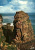 CARTE POSTALE  - LE CAP FREHEL - LA GRANDE FAUCONNIERE - Dolmen & Menhire