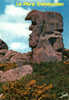 CARTE POSTALE DE TREBEURDEN - COTE DU NORD - LE ROCHER DU PERE TREBEURDEN - Dolmen & Menhirs