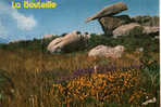 CARTE POSTALE DE PLOUMANACH - COTES D ARMOR - LE ROCHER DE LA BOUTEILLE - Dolmen & Menhire