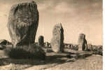 CARTE POSTALE DE CARNAC - MORBIHAN - ALIGNEMENT MEGALITHIQUES DU MENEC - MENHIRS - Dolmen & Menhire