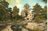 CARTE POSTALE DE LA FORET DE FONTAINEBLEAU - 77 - LE SPHINX DES DRUIDES A FRANCHARD - Dolmen & Menhire