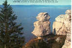 CARTE POSTALE DU MONT SALEVE - HAUTE-SAVOIE - LE ROCHER DE LA SORCIERE - Dolmen & Menhire