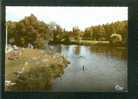 CPSM - Appoigny - Bords De L' Yonne - Un Coin De La Plage  ( Animée Baignade Automobile ... COMBIER CIM) - Appoigny