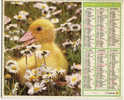 CALENDRIER ALMANACH  PTT GRAND FORMAT EN DOUBLE ANNEE 1986 LAPIN  /CANARD - Tamaño Grande : 1981-90