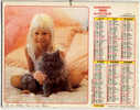 CALENDRIER ALMANACH  PTT GRAND FORMAT EN DOUBLE ANNEE 1990 FILLETTE ET CHATON /CHAT /CHATON - Grand Format : 1981-90