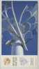 China 2002 Beijing New Year Postal Stationery Card Street Badminton Public Sculpture - Bádminton