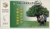 Tree,Wheelchair,Care Aged Person,China 2003 Life Insurance Company Fuliang Branch Advertising Postal Stationery Card - Handicap