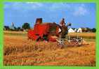 SAINT ESCOBILLE 1994 EN BEAUCE MOISSON DU BLE SUR INTERNATIONAL 841  PHOTO M. LAURENT CARTE SUPERBE ETAT - Culturas