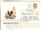GOOD USSR Postal Cover 1983 - Capercaillie (used) - Hoendervogels & Fazanten
