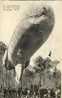 AVIATION MILITAIRE - Camp Militaire De SOUGE 33 - La SAUCISSE - Zeppeline